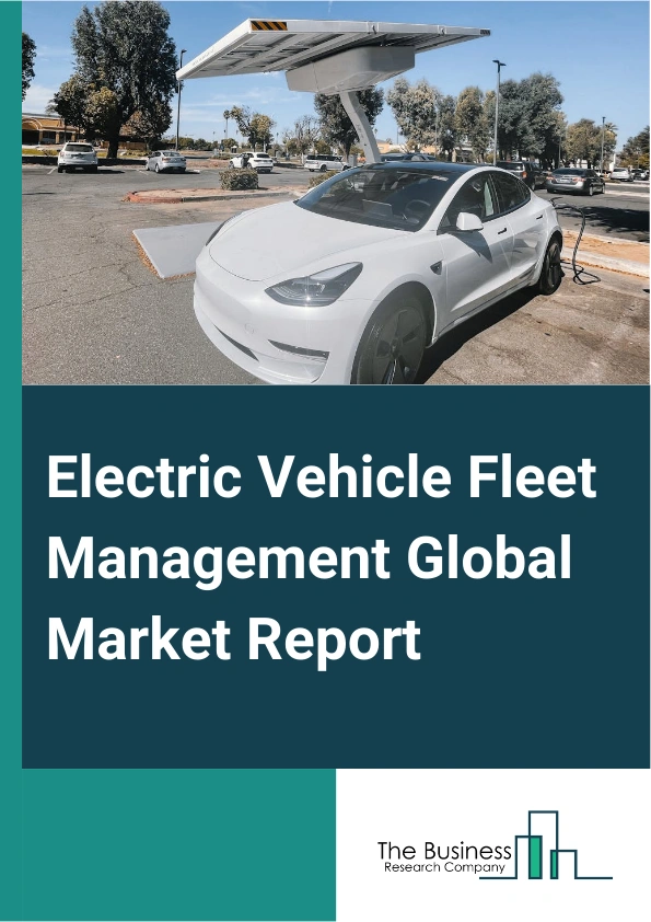 Electric Vehicle Fleet Management Global Market Report 2024 – By Component (Hardware, Software, Services), By Type (On-Premises, Cloud-Based), By Fleet Size (Large Size, Medium Size, Small Size) – Market Size, Trends, And Global Forecast 2024-2033
