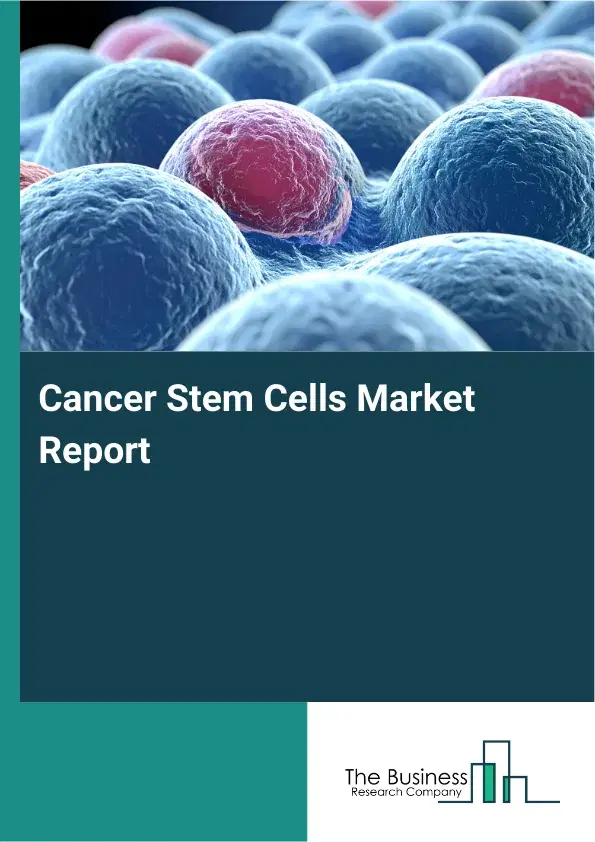 Cancer Stem Cells Market Report 2026 Cancer Stem Cells Market Report 2026
