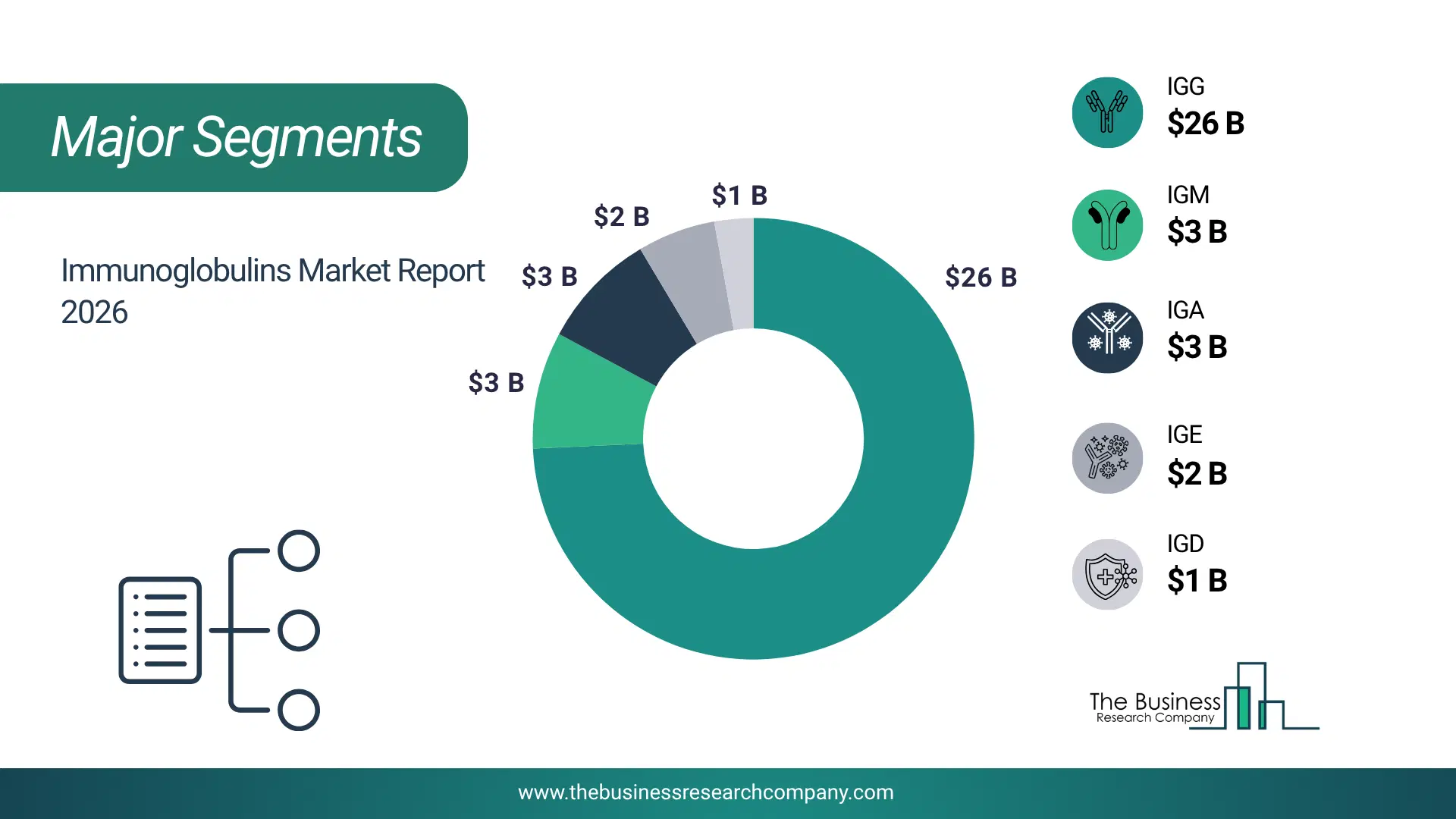 Immunoglobulins Market Major Segmentation Breakdown2026 Major Segmentation Breakdown Chart Of The Immunoglobulins Market.