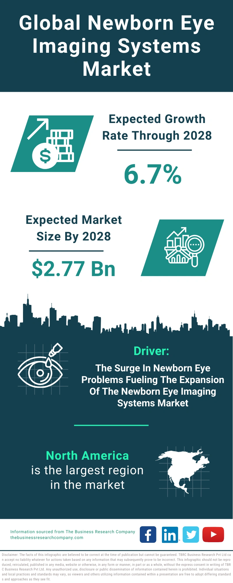 Newborn Eye Imaging Systems Global Market Report 2024