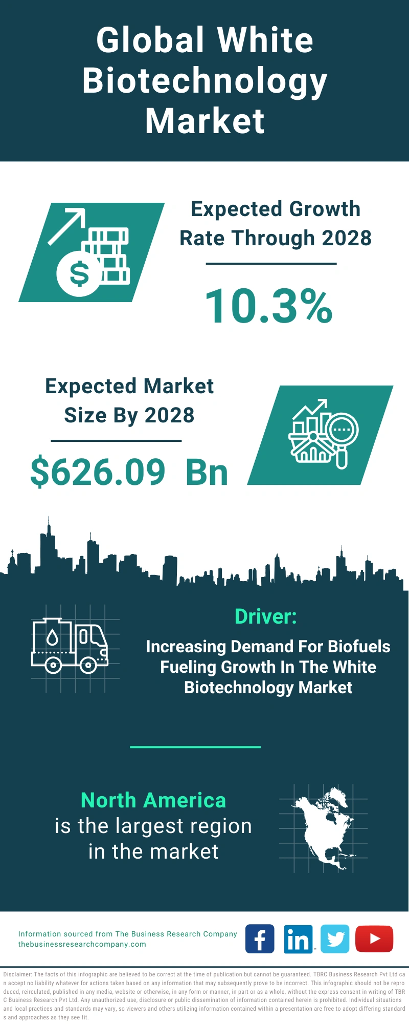 White Biotechnology Global Market Report 2024
