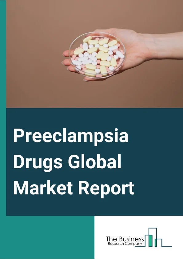 Preeclampsia Drugs Global Market Report 2024 – By Type (Mild Preeclampsia, Severe Preeclampsia), By Treatment (Medication to Lower Hypertension (B.P), Corticosteroids, Anticonvulsants Medication), By Route of Administration (Oral, Parenteral, Other Route of Administration), By Distribution Channel (Hospital Pharmacy, Retail Pharmacy, Online Pharmacies, Other Distribution Channels), By End-User (Hospitals, Specialty Clinics, Diagnostic Centers, Other End-Users) – Market Size, Trends, And Global Forecast 2024-2033