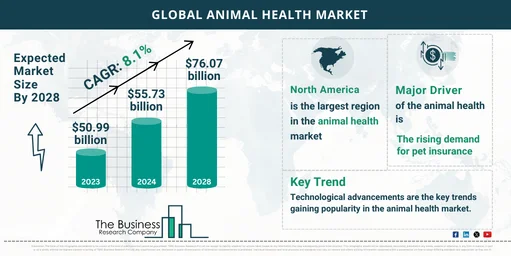 Global Animal Health Market Size and Growth: Infographic