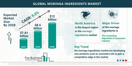 Moringa Ingredients Market Size, Share Report, Industry Analysis 2024-2033