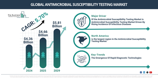 Global Antimicrobial Susceptibility Testing Market Report Infographic