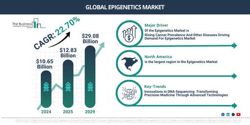 Global Epigenetics Market Report Infographic