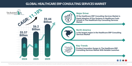 Global Healthcare ERP Consulting Services Market Report Infographic