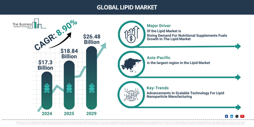 Global Lipid Market Report Infographic