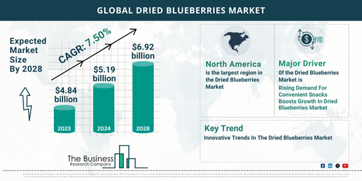 Global Dried Blueberries Market Report Infographic