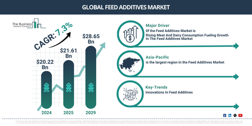 Global Feed Additives Market Report Infographic