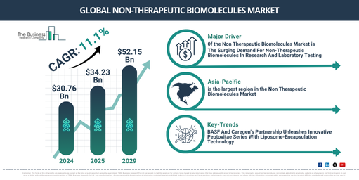 Global Non-Therapeutic Biomolecules Market Report Infographic