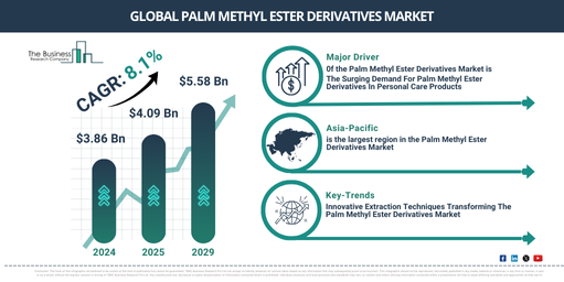 Global Palm Methyl Ester Derivatives Market Report Infographic