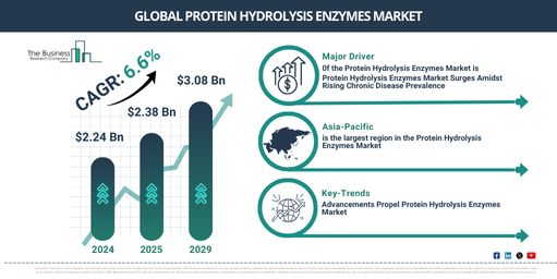 Global Protein Hydrolysis Enzymes Market Report Infographic