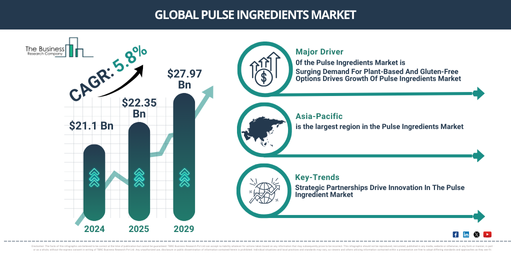 Global Pulse Ingredients Market Report Infographic