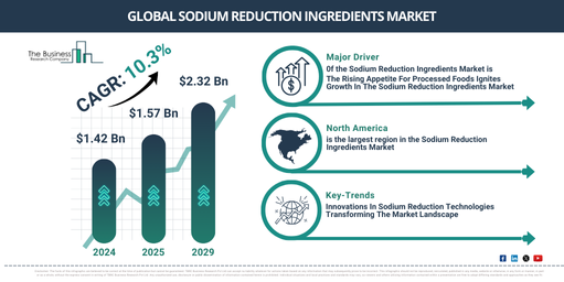 Global Sodium Reduction Ingredients Market Report Infographic