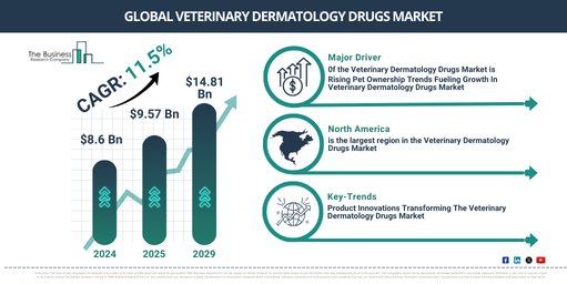 Global Veterinary Dermatology Drugs Market Report Infographic