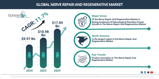 Nerve Repair And Regenerative Global Market Report 2025