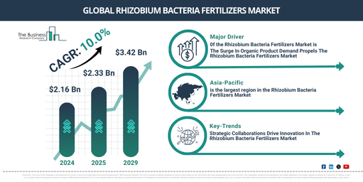 Rhizobium Bacteria Fertilizers Global Market Report 2025