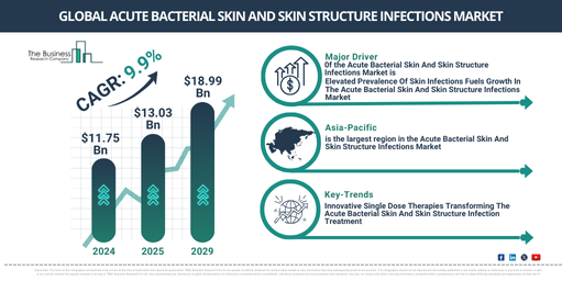 Global Acute Bacterial Skin And Skin Structure Infections Market Report Infographic