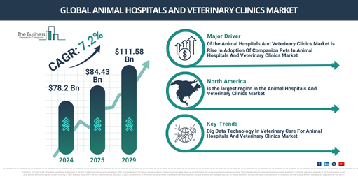 Global Animal Hospitals And Veterinary Clinics Market Report Infographic