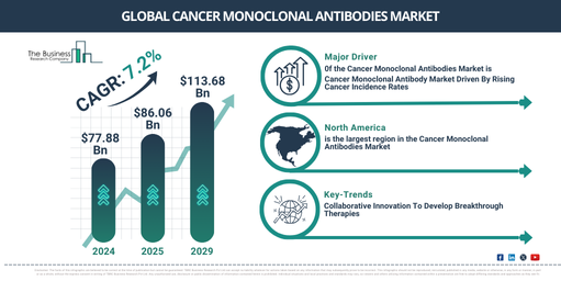 Global Cancer Monoclonal Antibodies Market Report Infographic