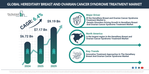 Global Hereditary Breast and Ovarian Cancer Syndrome Treatment Market Report Infographic