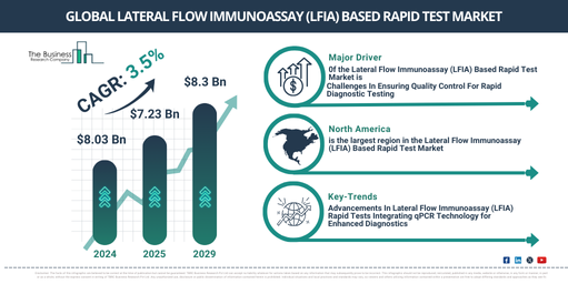 Global Lateral Flow Immunoassay (LFIA) Based Rapid Test Market Report Infographic