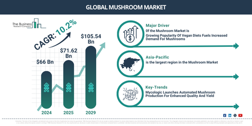 Global Mushroom Market Report Infographic