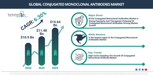 Global Conjugated Monoclonal Antibodies Market Report Infographic