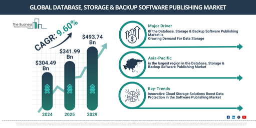 Global Database, Storage & Backup Software Publishing Market Report Infographic