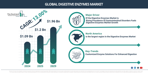 Global Digestive Enzymes Market Report Infographic