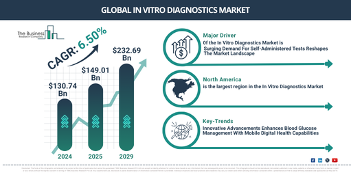 Global In Vitro Diagnostics Market Report Infographic