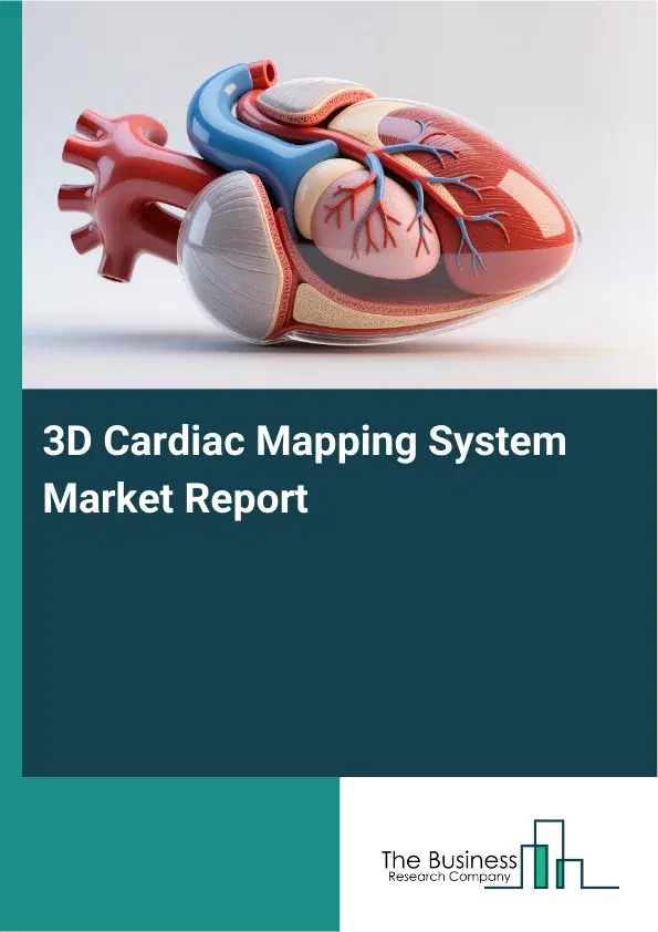 3D Cardiac Mapping System Market Report 2026 3D Cardiac Mapping System Market Report 2026