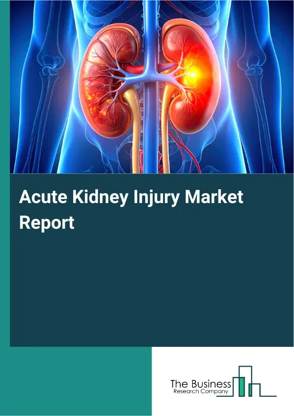 Acute Kidney Injury Market Report 2026 Acute Kidney Injury Market Report 2026