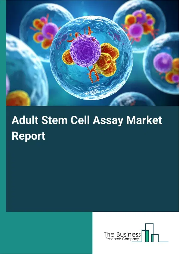 Adult Stem Cell Assay Market Report 2026 Adult Stem Cell Assay Market Report 2026