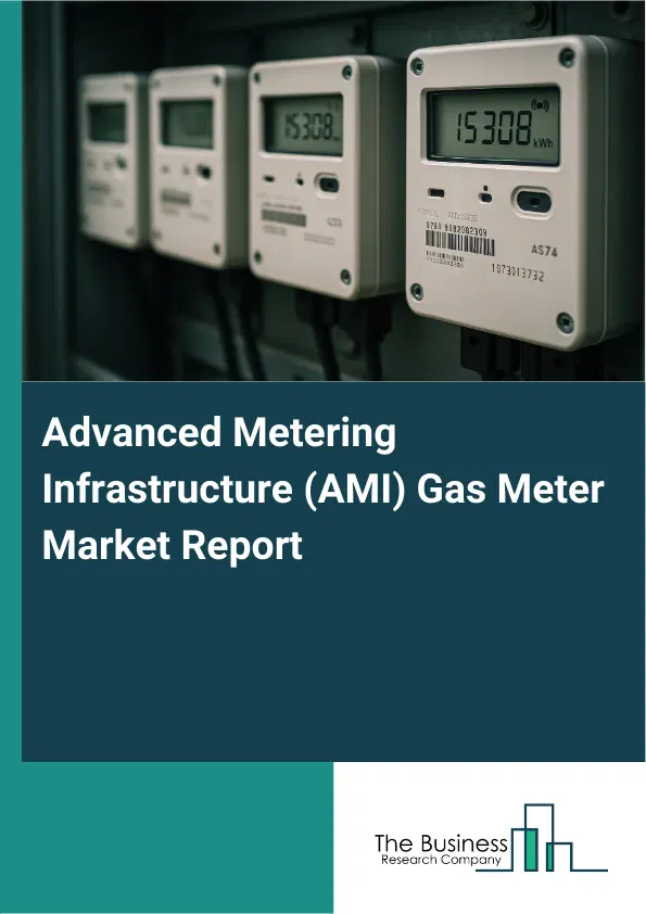 Advanced Metering Infrastructure (AMI) Gas Meter Market Report 2026 Advanced Metering Infrastructure (AMI) Gas Meter Market Report 2026