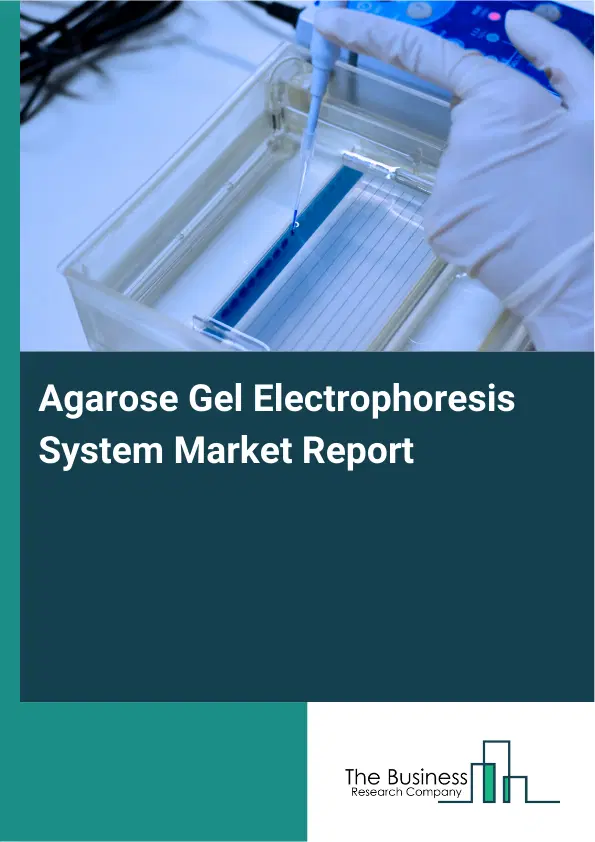 Agarose Gel Electrophoresis System Market Report 2026 Agarose Gel Electrophoresis System Market Report 2026
