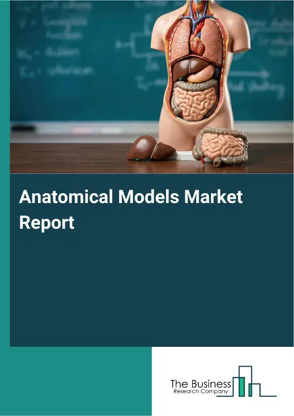 Anatomical Models Market Report 2026 Anatomical Models Market Report 2026