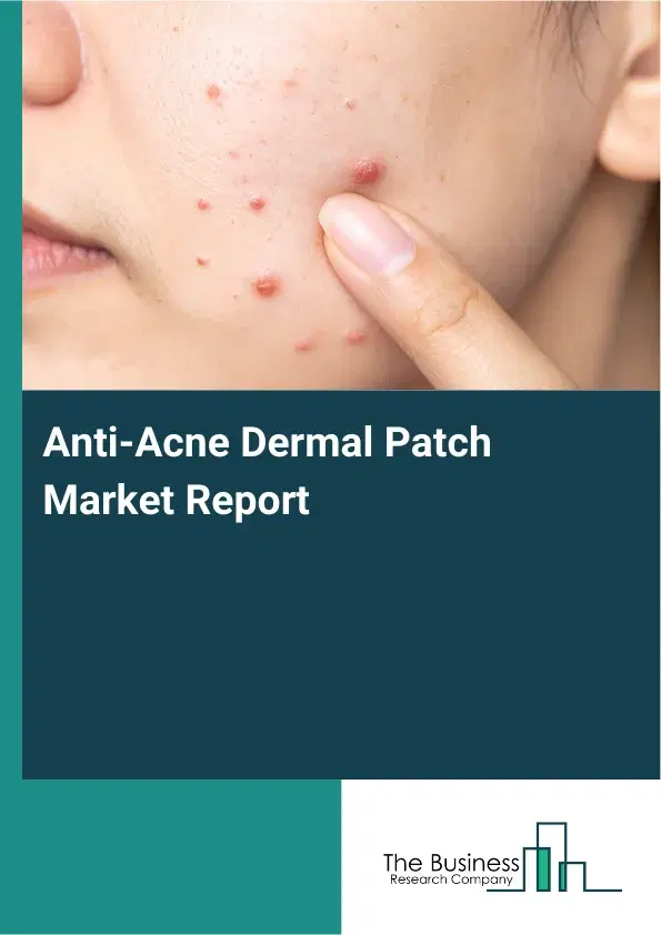 Anti-Acne Dermal Patch Market Report 2026 Anti-Acne Dermal Patch Market Report 2026