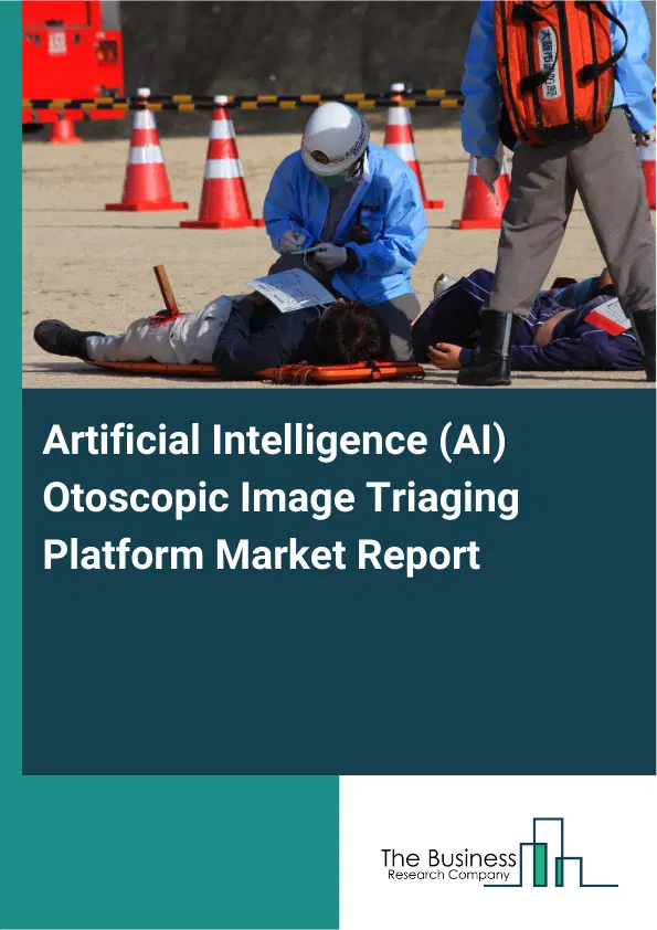 Artificial Intelligence (AI) Otoscopic Image Triaging Platform Market Report 2026 Artificial Intelligence (AI) Otoscopic Image Triaging Platform Market Report 2026