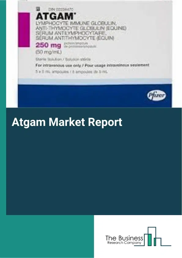 Atgam Market Report 2026 Atgam Market Report 2026