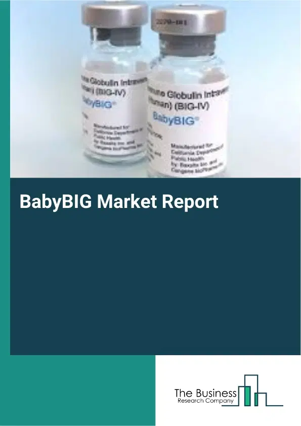 BabyBIG Market Report 2026 BabyBIG Market Report 2026