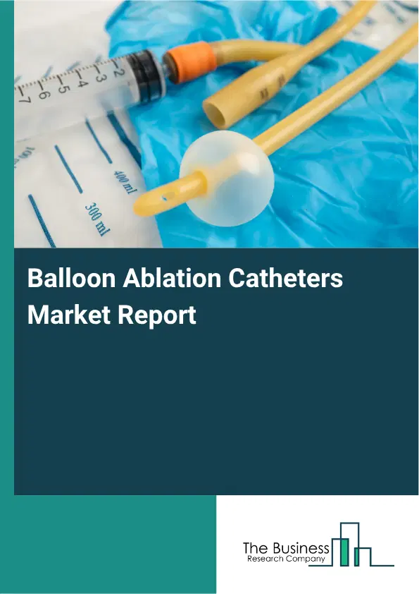 Balloon Ablation Catheters Market Report 2026 Balloon Ablation Catheters Market Report 2026