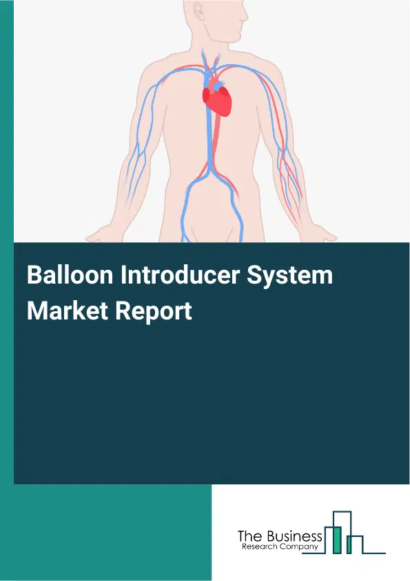 Balloon Introducer System Market Report 2026 Balloon Introducer System Market Report 2026