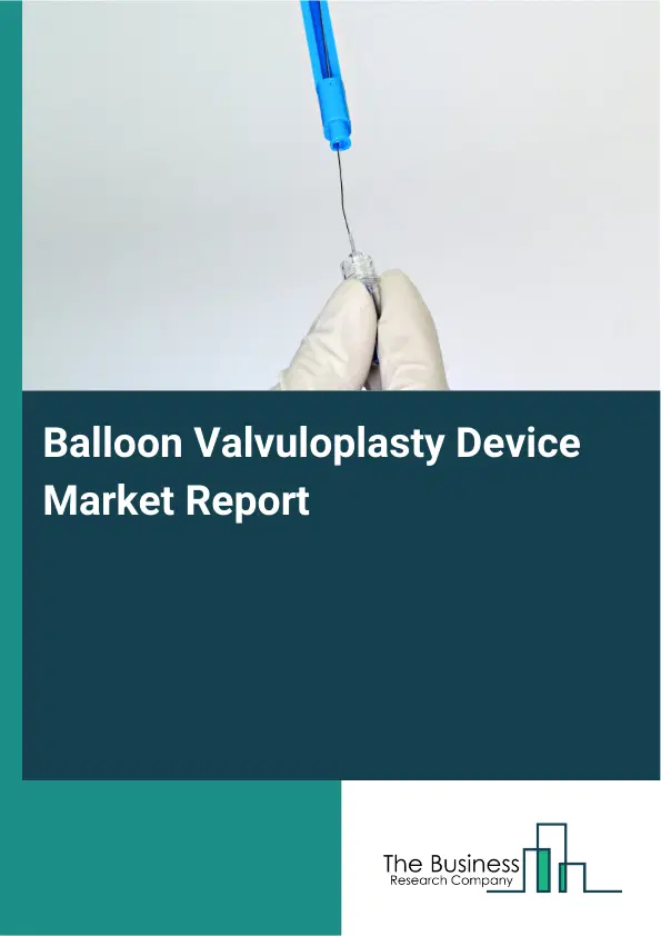 Balloon Valvuloplasty Device Market Report 2026 Balloon Valvuloplasty Device Market Report 2026