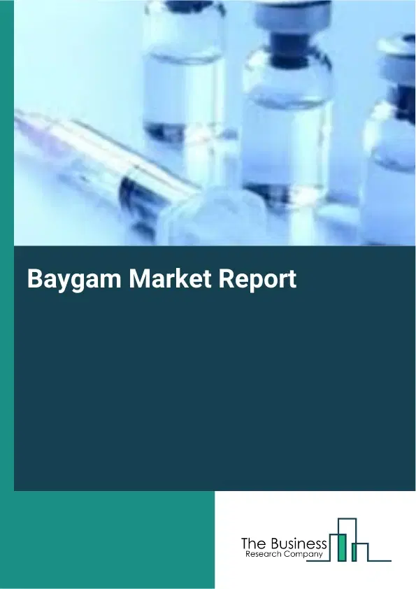 Baygam Market Report 2026 Baygam Market Report 2026