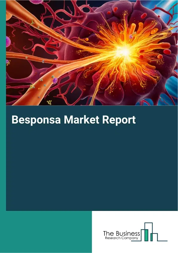 Besponsa Market Report 2026 Besponsa Market Report 2026