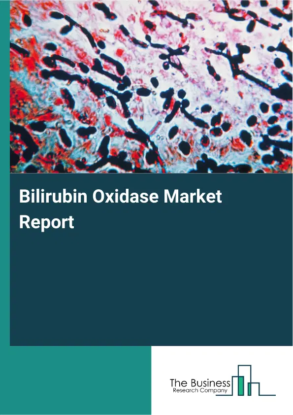 Bilirubin Oxidase Market Report 2026 Bilirubin Oxidase Market Report 2026