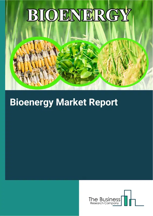 Global Bioenergy Market Report 2026 Global Bioenergy Market Report 2026