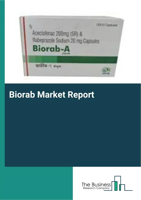 Biorab Market Report 2026 Biorab Market Report 2026